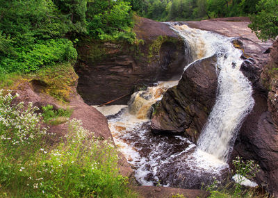 Scenic view of waterfall in forest