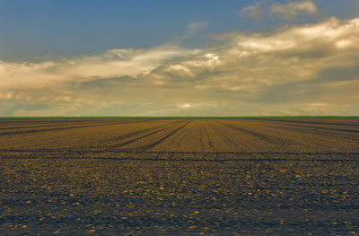 Cultivated field and cloudy sky