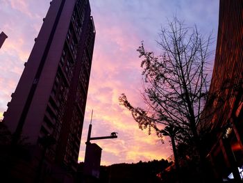 Low angle view of silhouette tree and buildings against sky during sunset