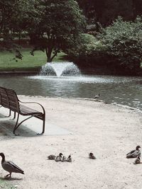 Scenic view of lake