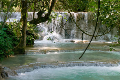 Scenic view of kuang si waterfall in forest