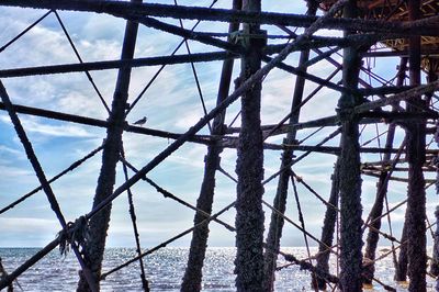 Low angle view of sea against sky