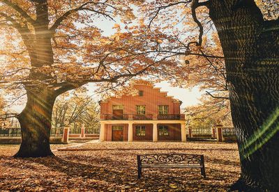 Trees and buildings against sky during autumn