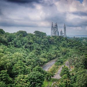 Scenic view of tree against cloudy sky