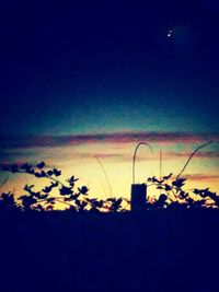 Silhouette trees against sky