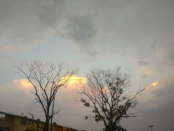 Low angle view of silhouette bare tree against sky during sunset