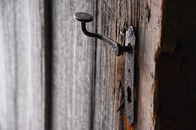 Close-up of wood