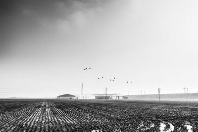 Scenic view of field against clear sky