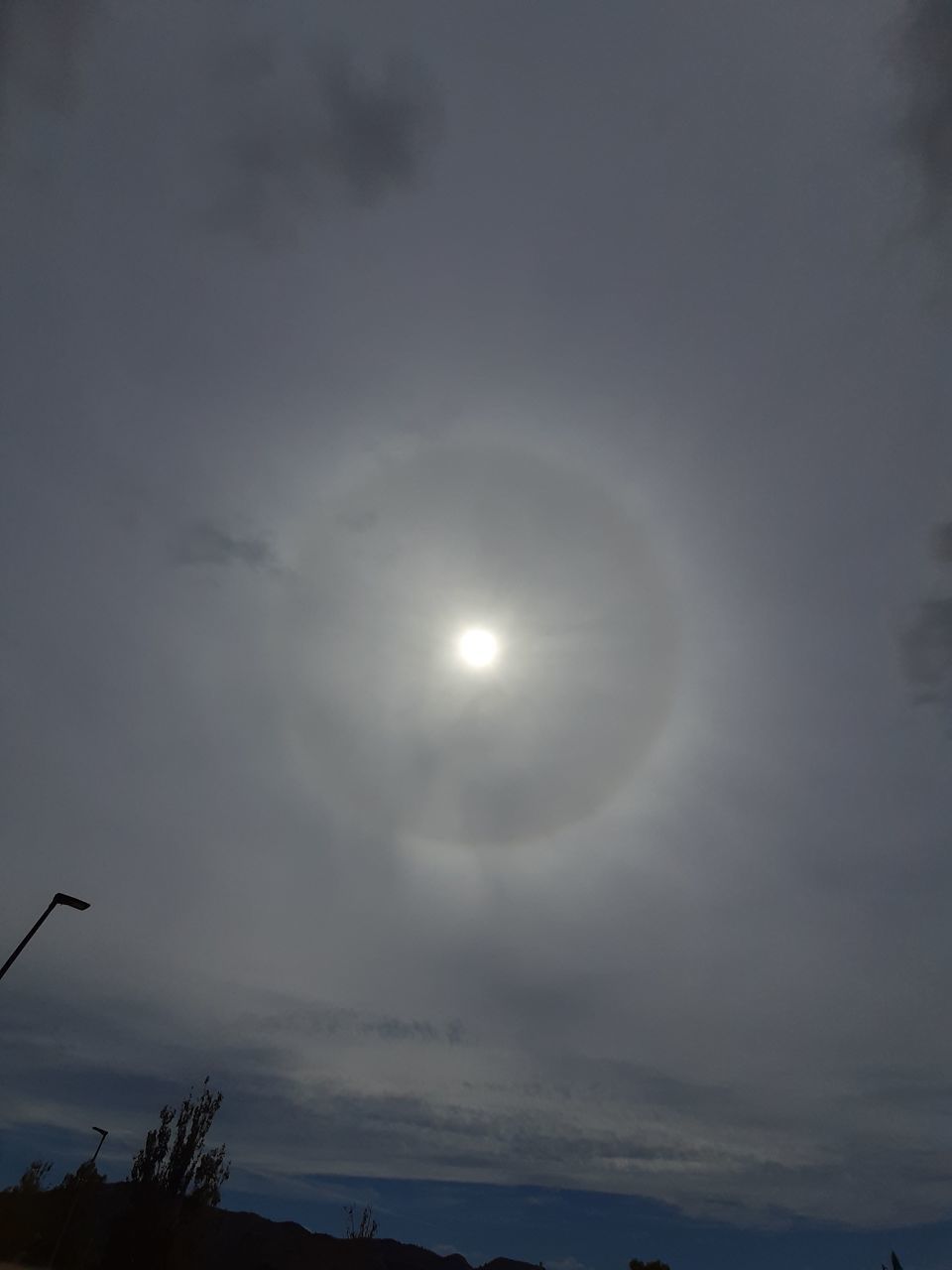 LOW ANGLE VIEW OF MOON IN SKY