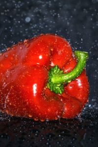 Close-up of wet red leaf on black background