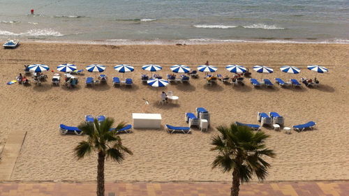 View of birds on beach