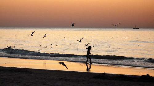 Silhouette birds flying over beach against sky during sunset