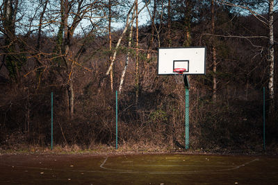 View of basketball hoop in forest