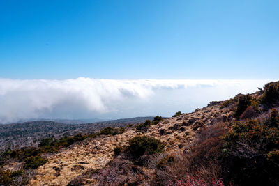 Scenic view of land against sky