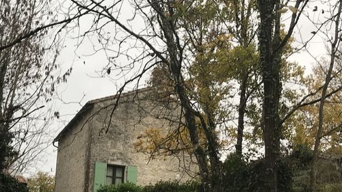 Low angle view of bare trees and building against sky