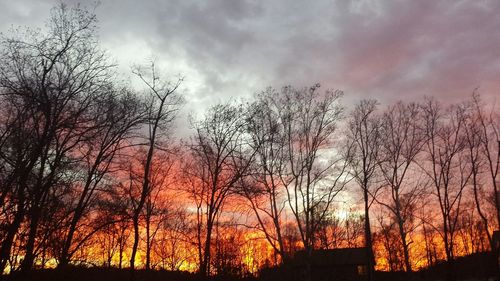 Low angle view of bare trees against sky at sunset