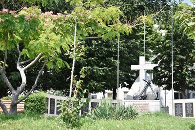 View of cemetery against trees