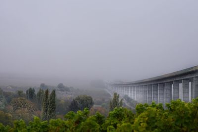 Scenic view of trees in foggy weather against sky