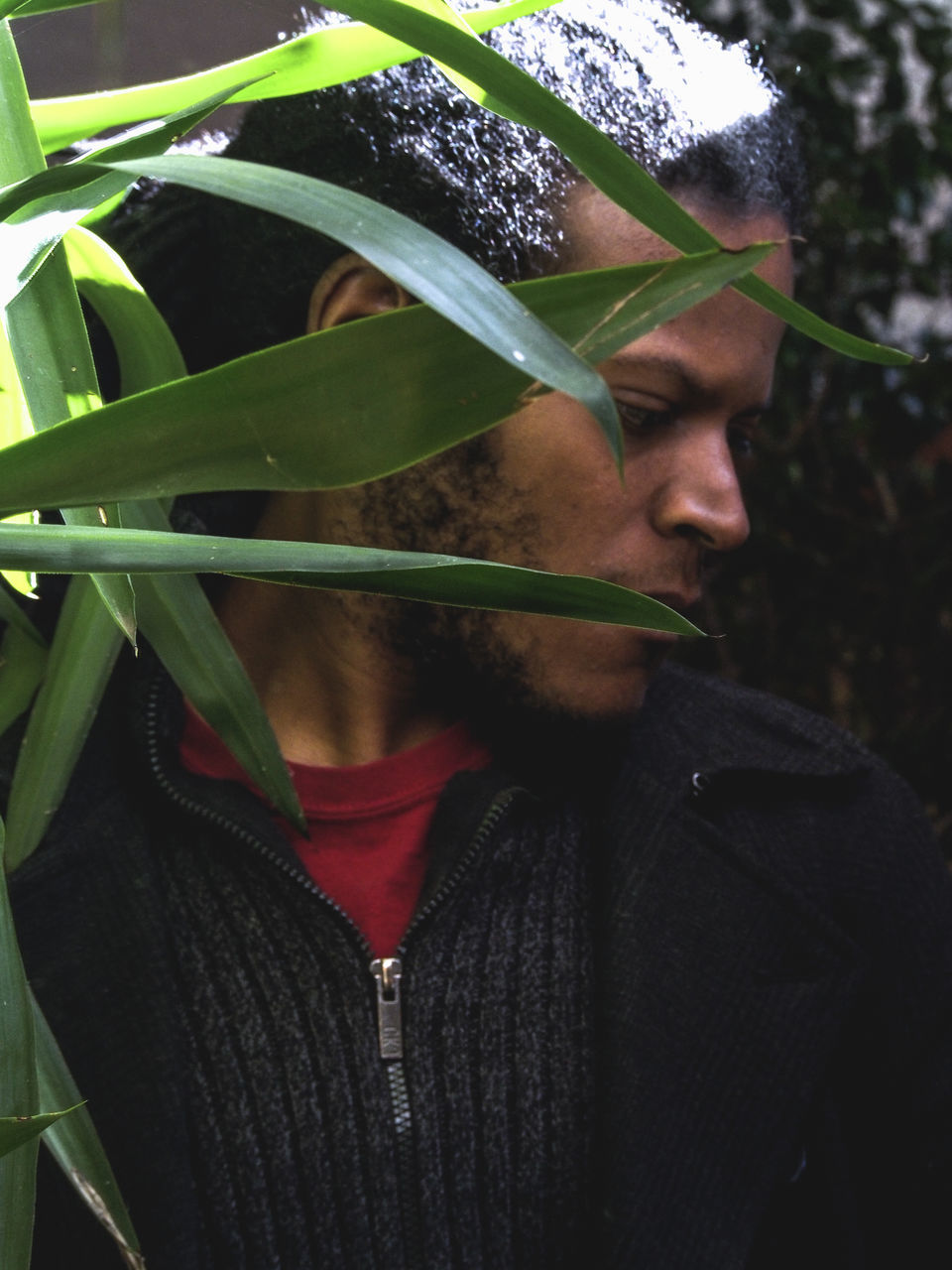 lifestyles, close-up, leisure activity, focus on foreground, casual clothing, day, leaf, outdoors, front view, headshot, standing, growth, sunlight, young adult, plant, green color, tree, holding