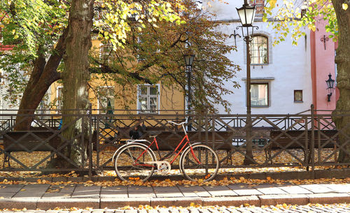 Bicycle parked by tree against building