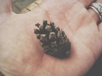 Midsection of person holding ice cream