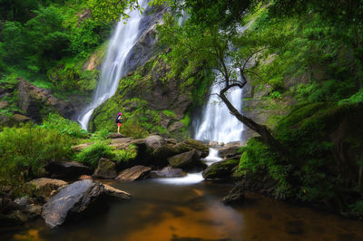 Scenic view of waterfall in forest