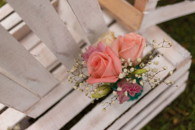 Close-up of rose blooming