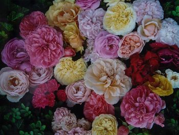 High angle view of roses bouquet