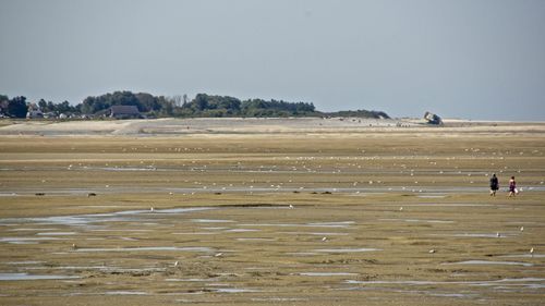 Scenic view of beach against clear sky
