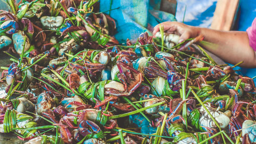 Woman's hand with seafood for sale at market stall