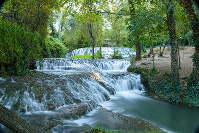 Scenic view of waterfall in forest