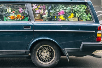 CLOSE-UP OF FLOWERS ON CAR WINDSHIELD