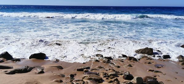 Scenic view of sea shore