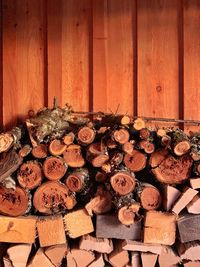 Stack of logs in forest