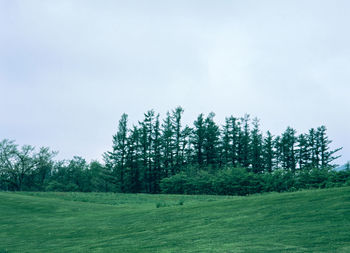 Scenic view of green landscape and trees against sky