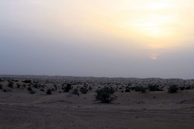 Scenic view of desert against sky during sunset