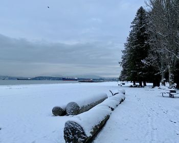 Snow covered plants against sky