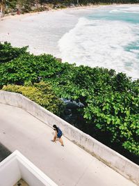 High angle view of person by sea against trees