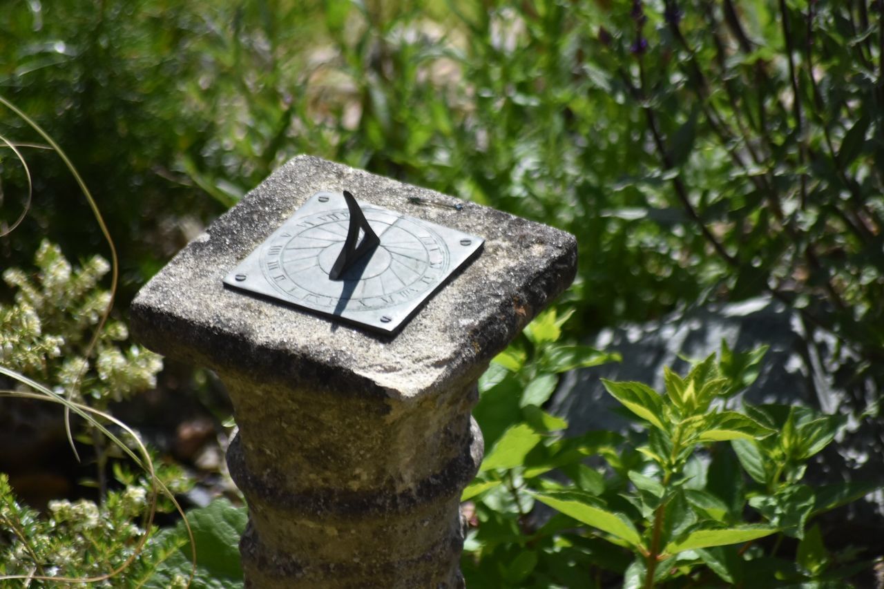 CLOSE-UP OF CROSS ON TREE