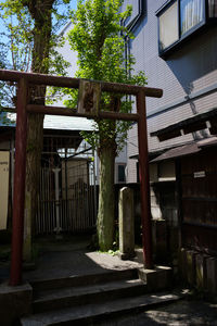 House amidst trees