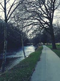 Bare trees by river against sky