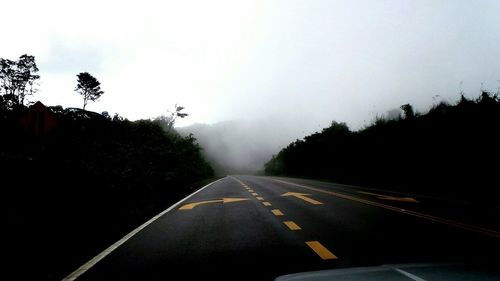 Road passing through forest