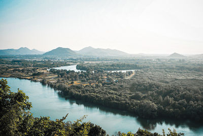 Aerial top view forest, texture of mangrove forest view from above nature mountain background