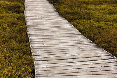 High angle view of boardwalk on field