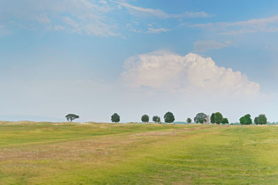 Scenic view of field against sky