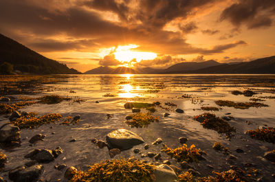 Scenic view of beach against sky during sunset