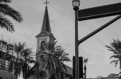 Low angle view of palm trees and a church against sky