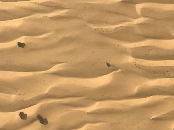 Full frame shot of sand dunes in desert