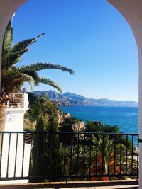 Palm tree by sea against clear blue sky