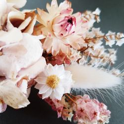 Close-up of cherry blossom flowers